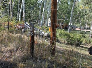 54 Elkhorn Ln, Florissant, CO 80816