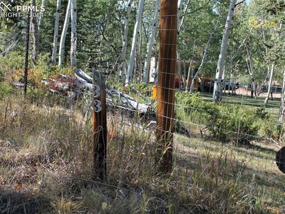 54 Elkhorn Ln, Florissant, CO, 80816