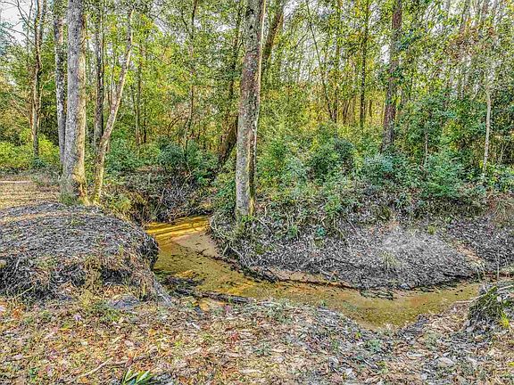 4th image of 2509 Creek Chase Trl