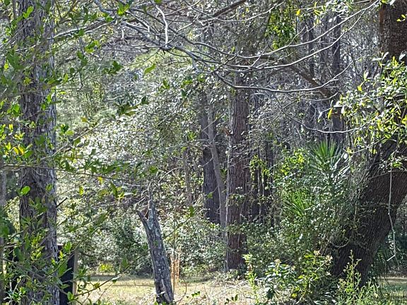 2nd image of 8160 N Highway 17