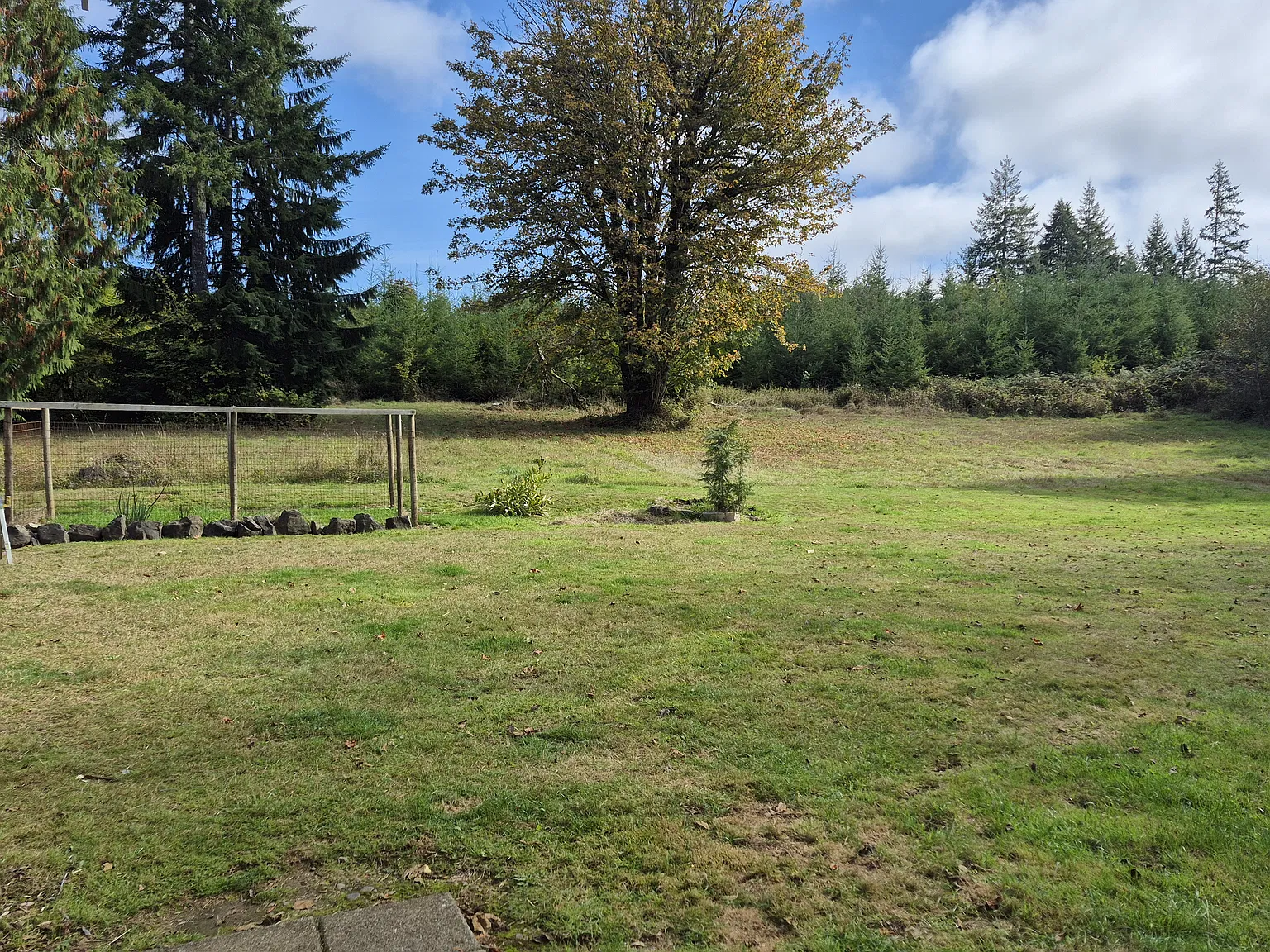 2 bed, 800 sqft, $1,850 — Photo 2