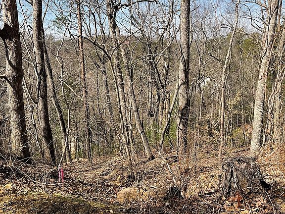 5th image of 122 Monte Wood Cir Lot 12B2