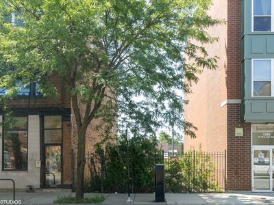 3423 W Armitage Ave, Chicago, IL, 60647