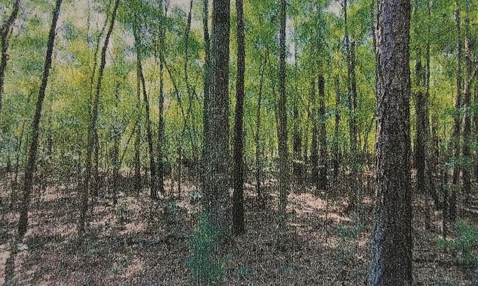 2nd image of 1614 Aull Mill Rd
