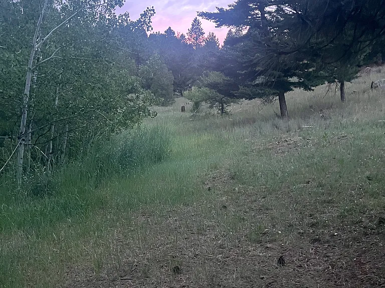 9B Trailer W — Photo 25