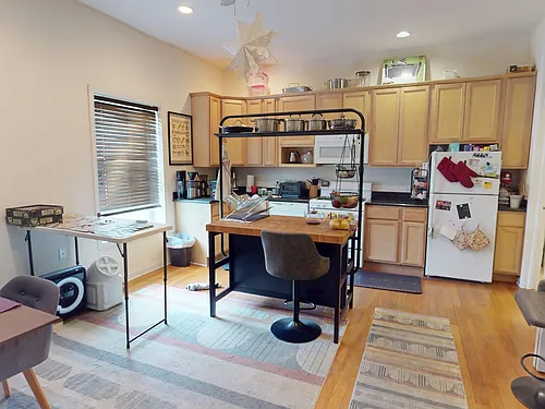 1737 W Addison St #1 Photo 1