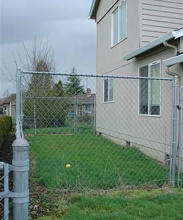 Fenced back yard