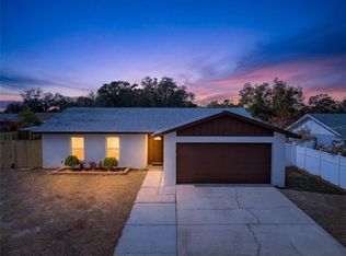 662 Bryan Terrace Dr, Brandon, FL 33511