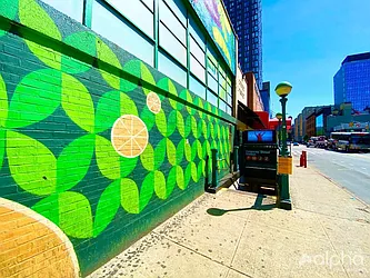 Rented by Alpha Properties NYC I LLC