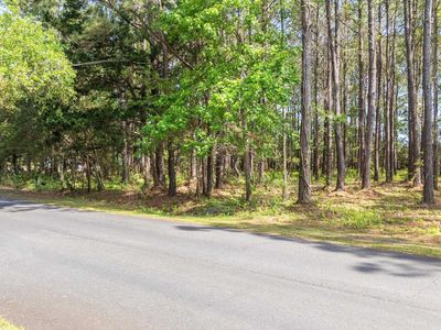8 Collins Meadow Dr. #Collins Meadow Dr, Georgetown, SC, 29440