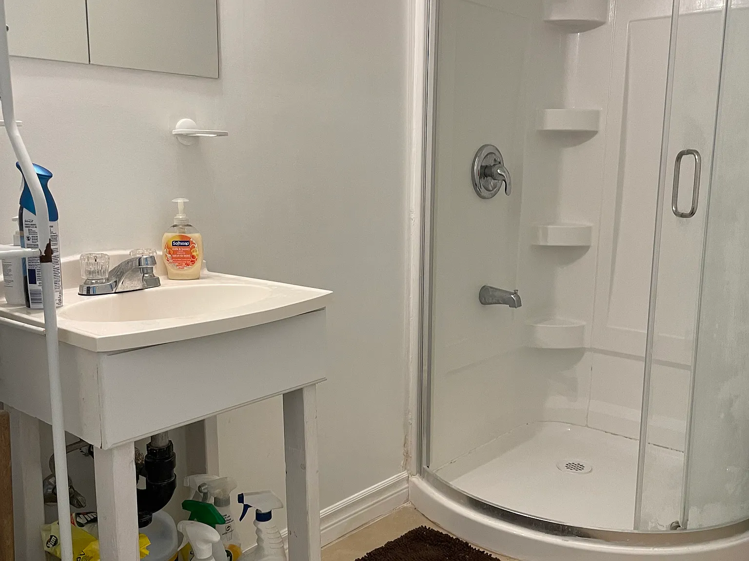 1 bed, $880 — Photo 3
