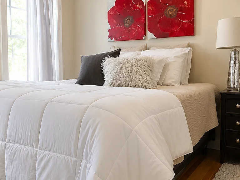 51 E Springfield St #3 — Photo 6