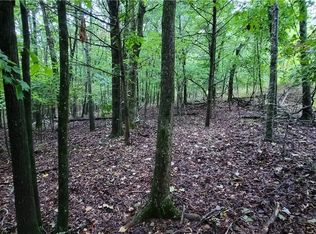 156 Pinehaven Dr, Winslow, AR 72959