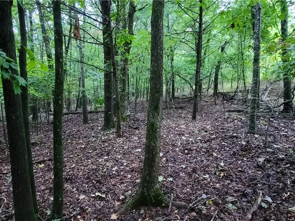 156 Pinehaven Dr, Winslow, AR 72959