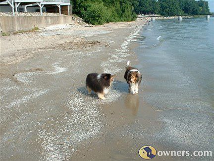 private beach