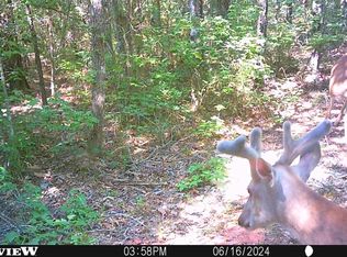 Shady Grove Rd, Jefferson, TX 75657