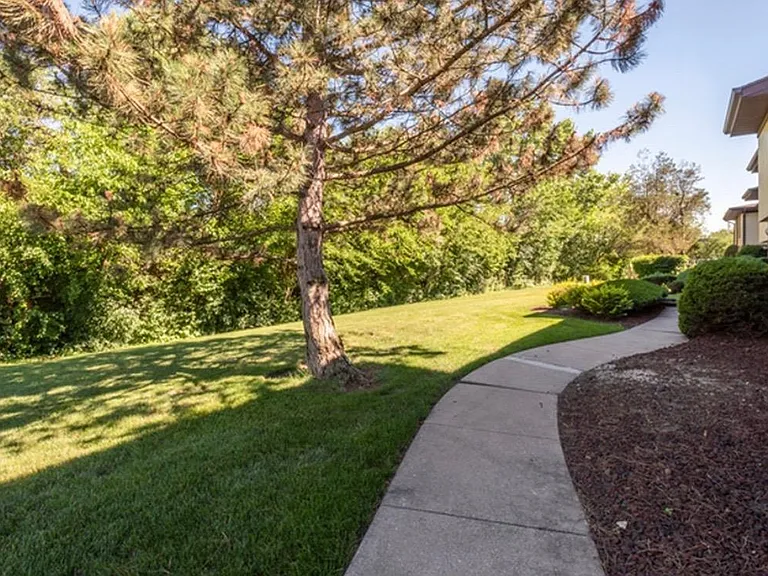 15809 Orlan Brook Dr #42 — Photo 13