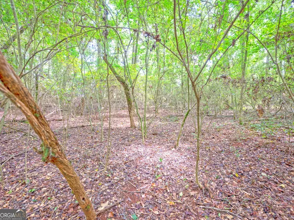 0 Wildcat Bridge Rd, Danielsville, GA 30633