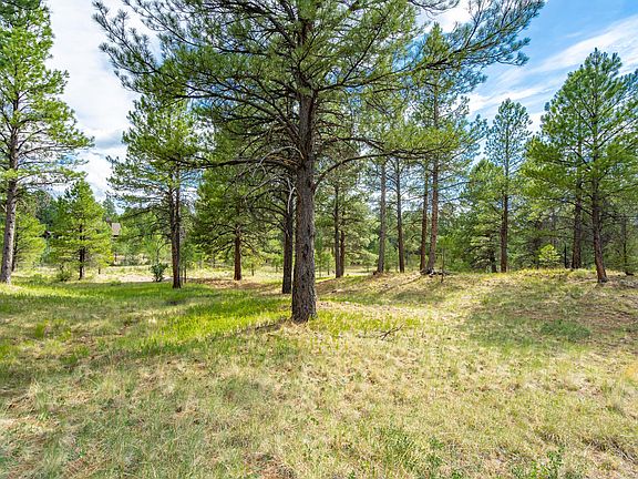 5th image of 1859 E Marengo Ct Lot 137