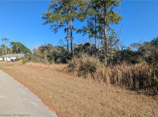 738 Star Fruit Ave, Lake Placid, FL 33852