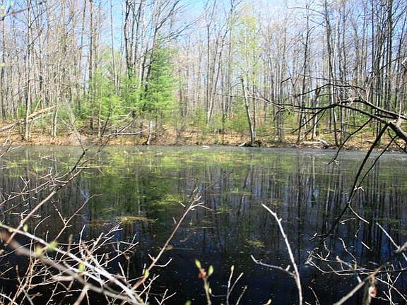 5th image of On Lake Mildred Rd