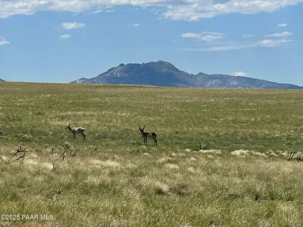 40-A E Norma Dr #1, Prescott Valley, AZ 86315