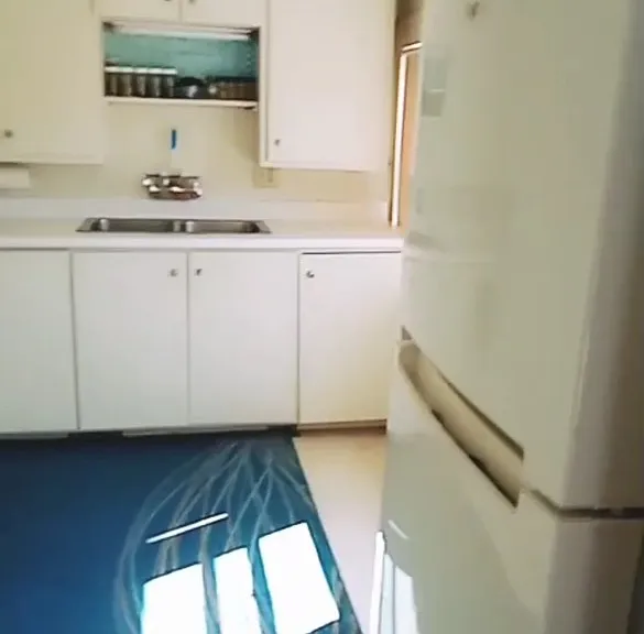 319 Laurel St #2 — Photo 5