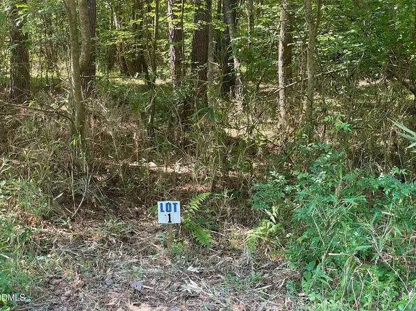 300-1 Landmark Rd Lot 1, Willow Spring, NC 27592