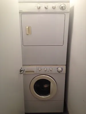 Rented by Bloom Real Estate Group | media 3