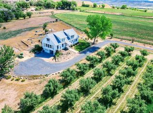 21669 Myers Rd, Eckert, CO 81418