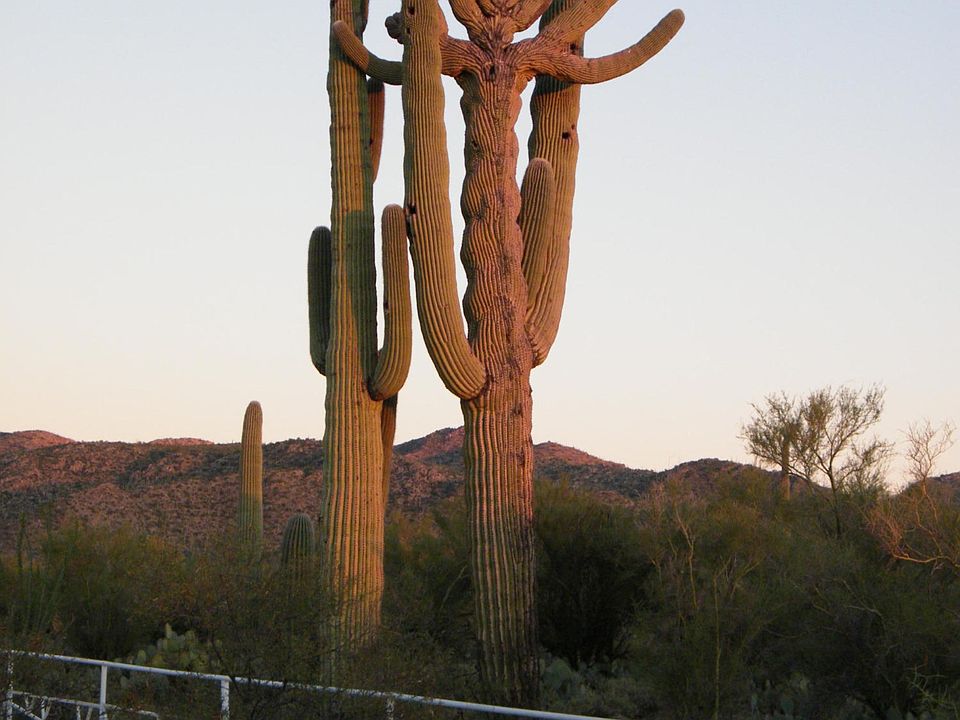 1st image of 41611 E Crested Saguaro Ln