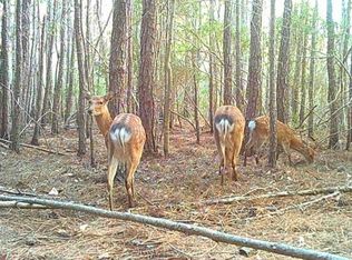 2575 Toddville Rd, Toddville, MD 21672