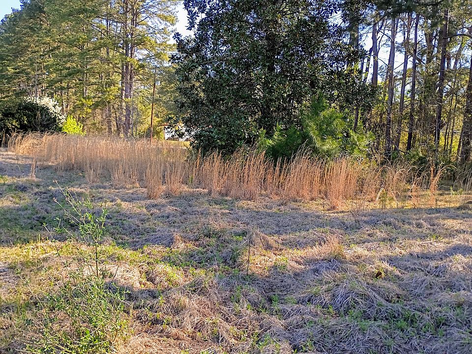 2nd image of 67 Cone Ct