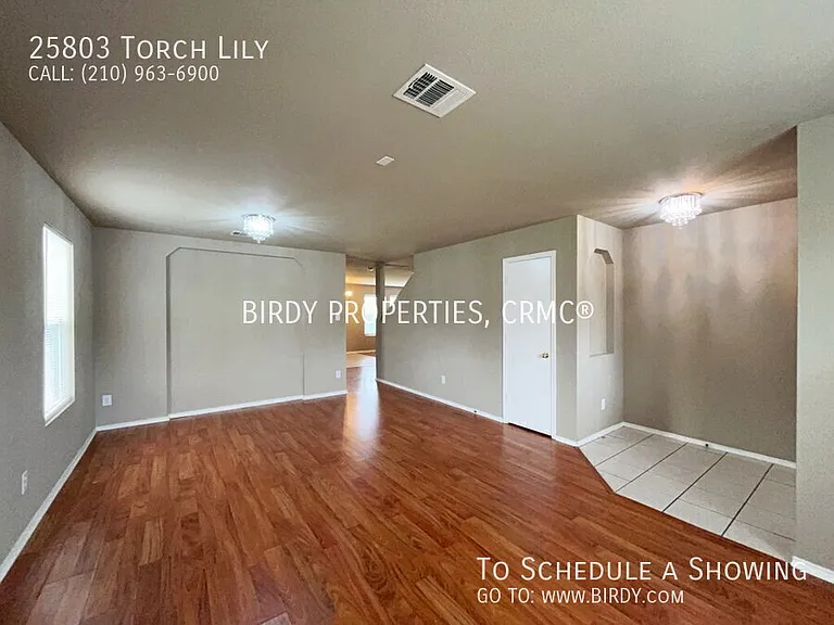 25803 Torch Lily — Photo 11