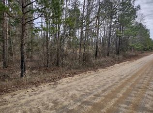 458 Harvey Cir, Ellaville, GA 31806