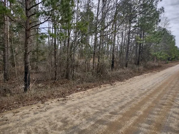 458 Harvey Cir, Ellaville, GA 31806