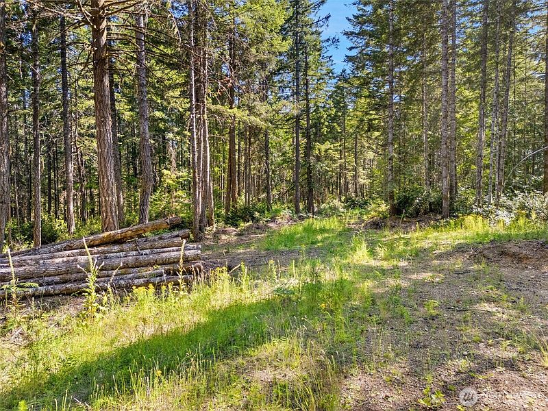 5th image of 0 TR4 E Mason Lake Road