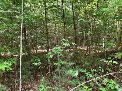 LOT 6&7 View Ridge Trl, Murphy, NC, 28906