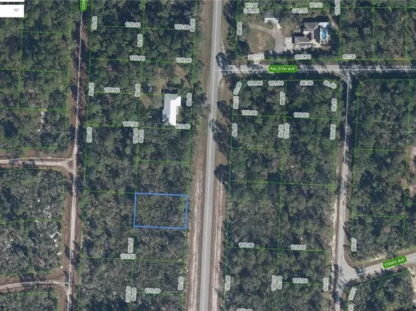 830 Wildflower St, Lake Placid, FL 33852