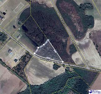 206 Bethany Rd, Johnsonville, SC, 29555