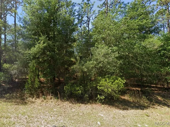 LOT 3 SW 102nd Street Rd, Dunnellon, FL 34432
