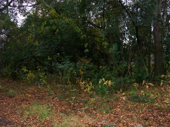 59 Frazier St, Sumter, SC 29150