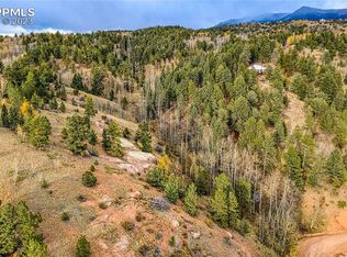 72 Princess Way, Cripple Creek, CO 80813