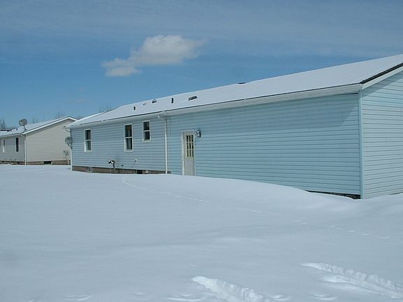 Winter back view