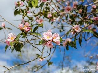 0 Camelia Ct, Lake Charles, LA 70611