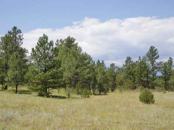 Lark Bunting Lane Cedar Rd, Weston, CO 81091