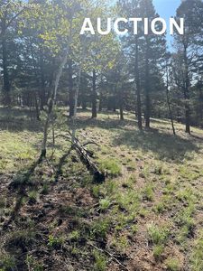 330 Waldon Lake Cir, Divide, CO, 80814