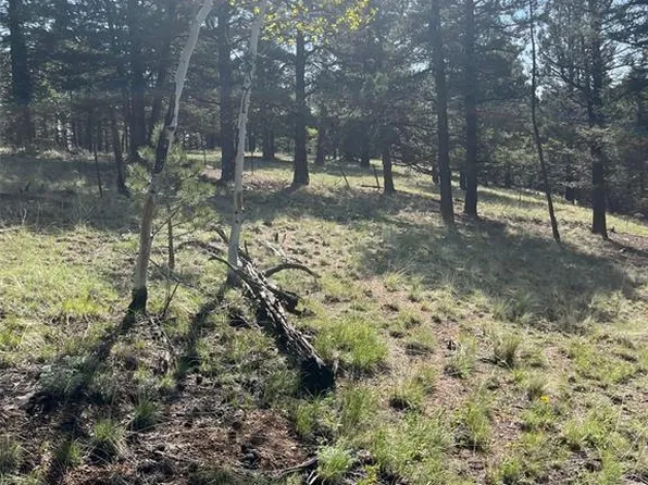 330 Waldon Lake Cir, Divide, CO 80814