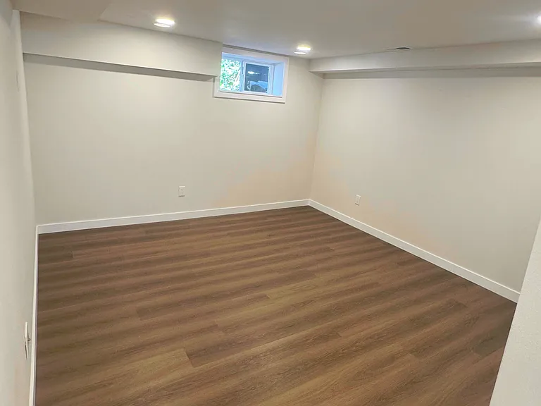 Basement Bonus/Media Room