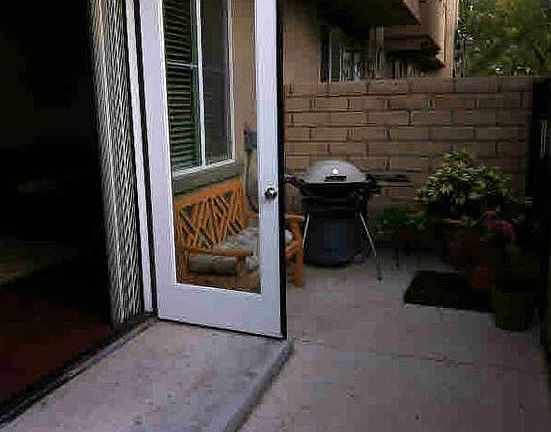 big-ass patio